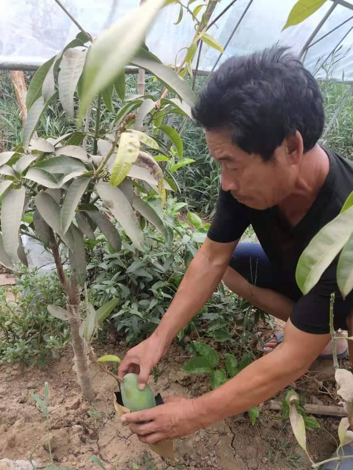 东明县最新动态，自然美景探索之旅的心灵洗礼与重生体验
