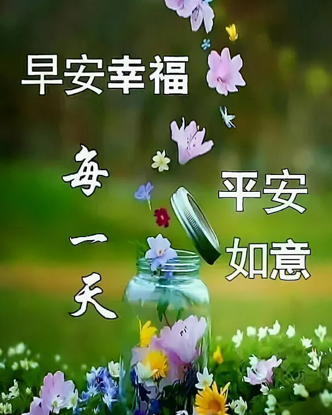 阳新最新新闻，日常温馨与朋友间的爱的纽带