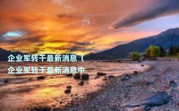 企业军转干最新动态，职场转变与温馨友情故事同步展开
