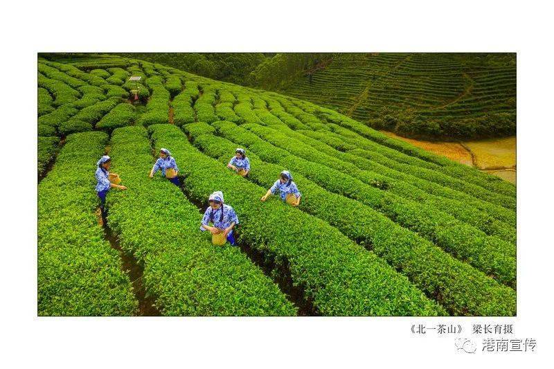 饿了么最新事件与治愈之旅，自然美景的探寻