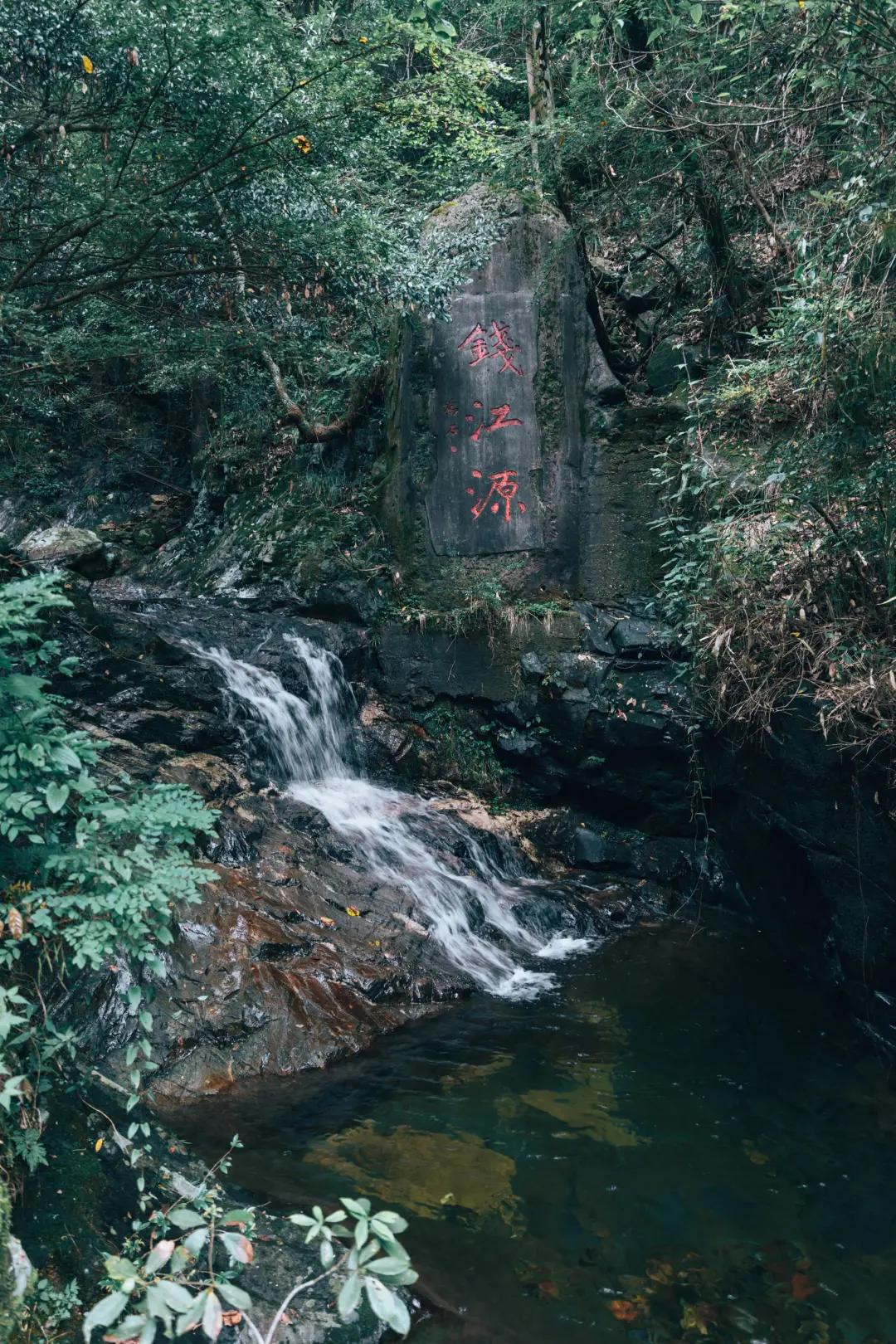 陈晓卿与自然的私密对话，探索内心平静的旅程