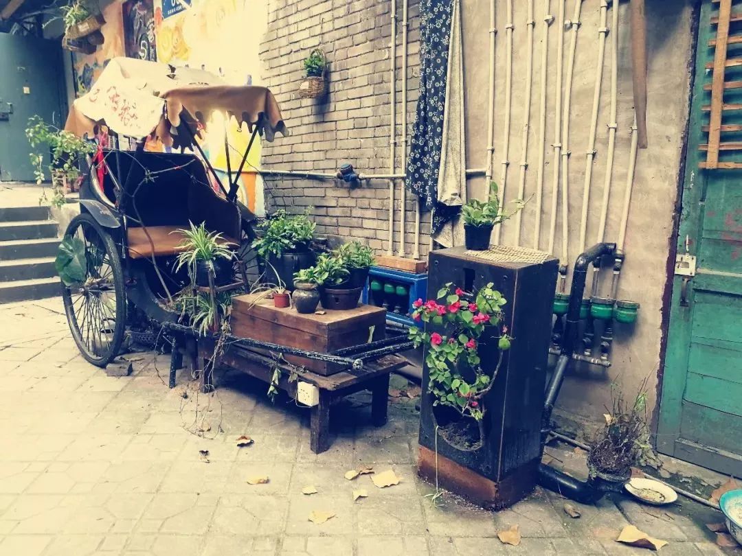 探秘小巷神秘小店，最新病毒溯源揭秘
