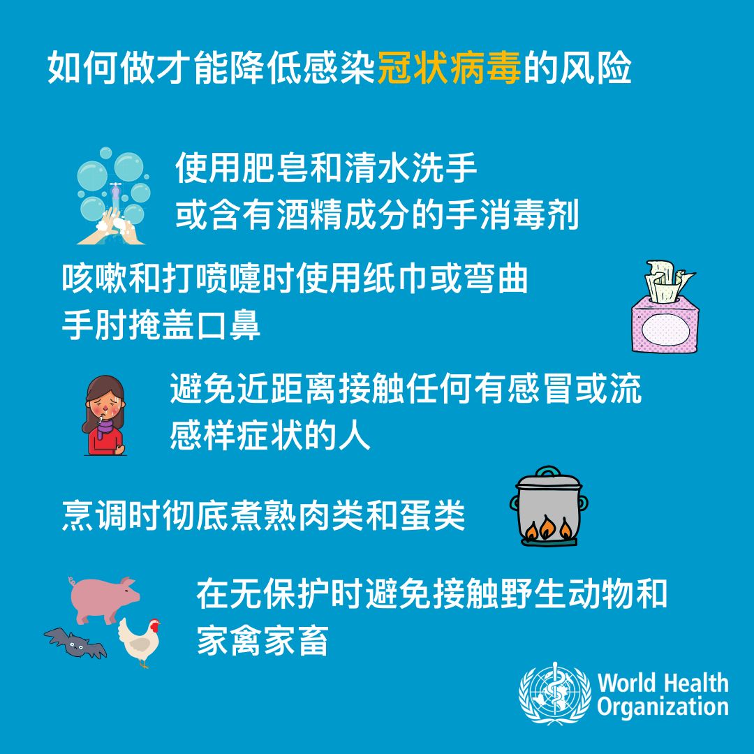 世界肺炎最新疫情，全面指南，了解、预防与应对的措施