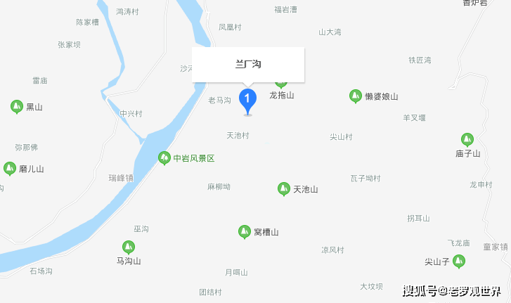 深度解读与观点论述