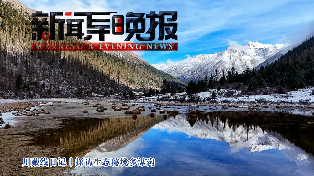 心灵与自然的奇妙之旅，最新新闻报道的一场旅行盛宴