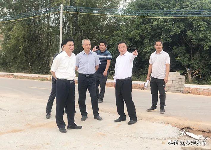 罗定市万木林新任领导者亮相，引领绿色发展的领导者