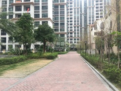 坦洲金色名都最新动态与小巷深处的独特风情揭秘