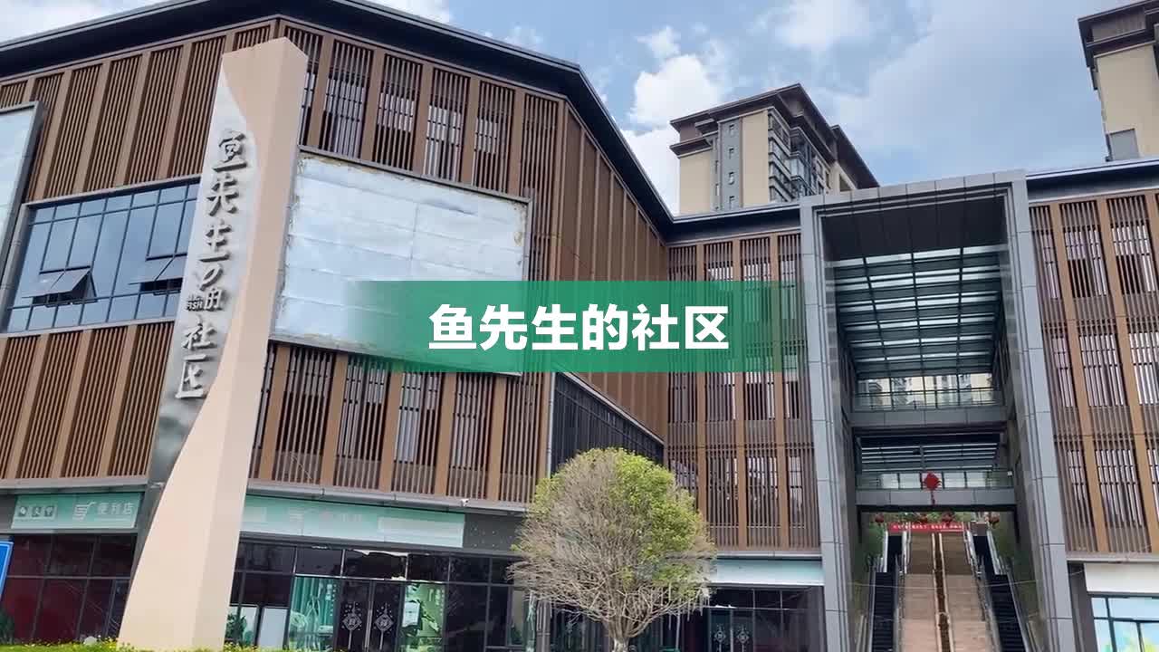 鱼先生社区最新动态更新