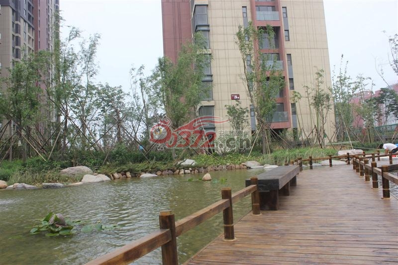 安阳市锦江花园三期最新动态，探索小巷中的意外惊喜