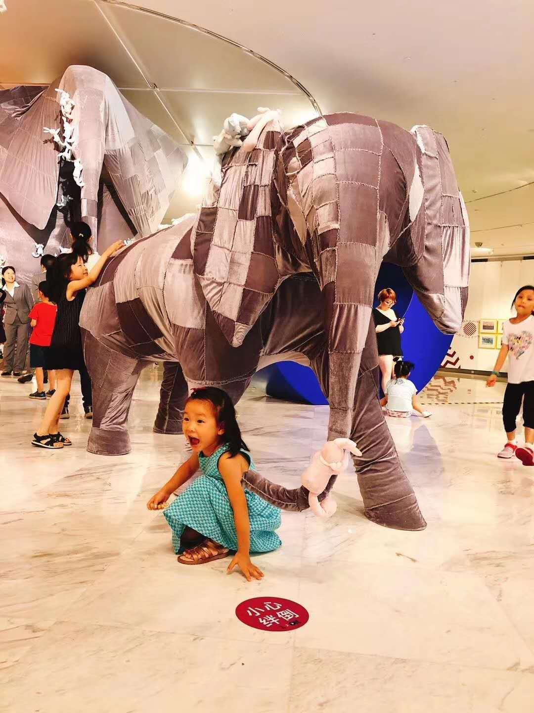 安奈儿股票最新动态，自然美景探索之旅启动