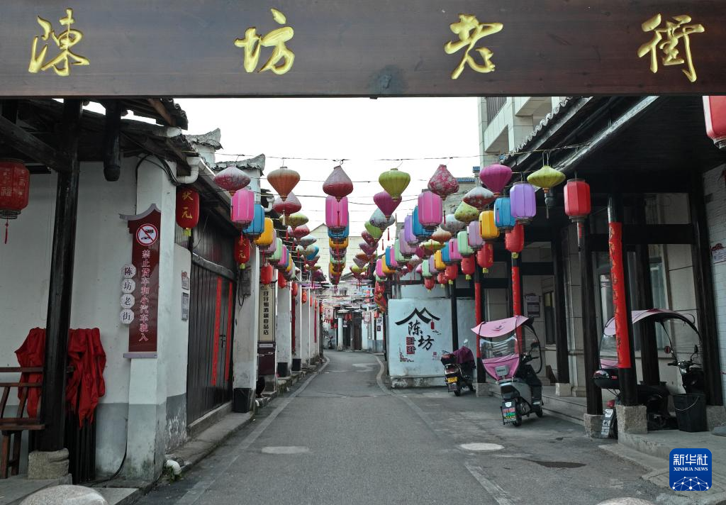 最新乡镇政府大门图片与小巷独特小店探索