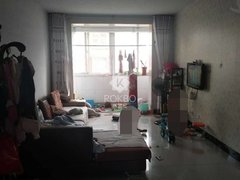 藁城二手房最新信息探索，小巷深处的隐藏房源一览