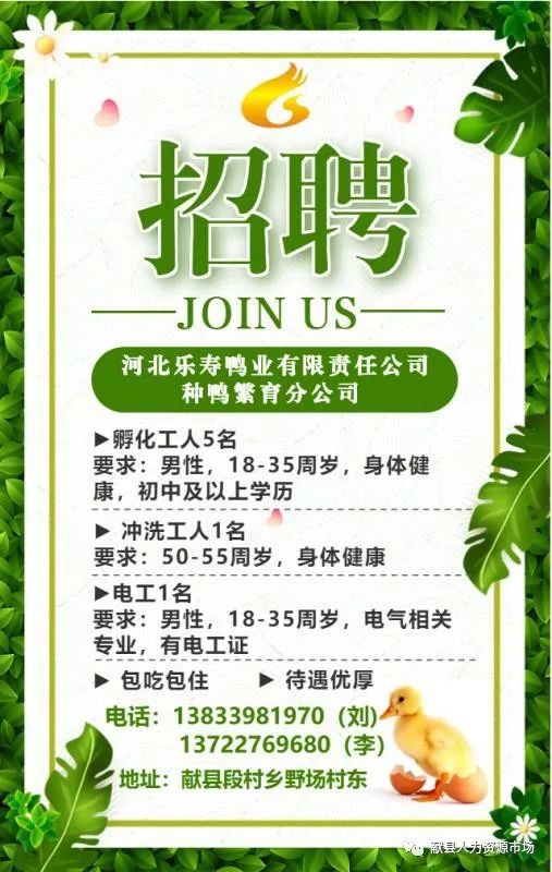 岳西服务员最新招聘启事发布