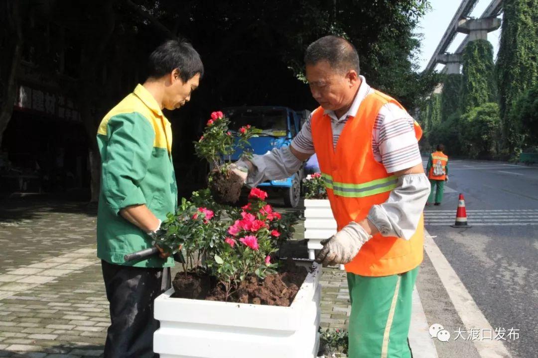 大渡口绿地城最新动态