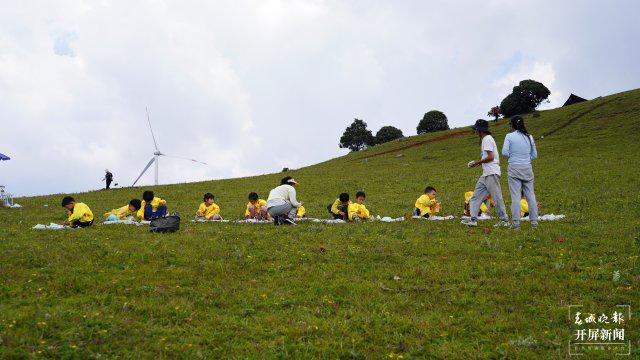 收购先正达最新动态与探索自然美景之旅的奇妙交汇