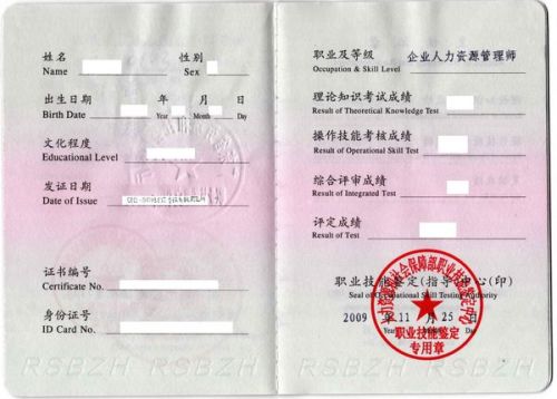湖南职称英语取消最新消息及其背后的温馨故事